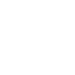 icone qui représente une présentation analytique