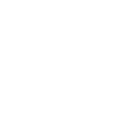 Icone pour une analyse SEO