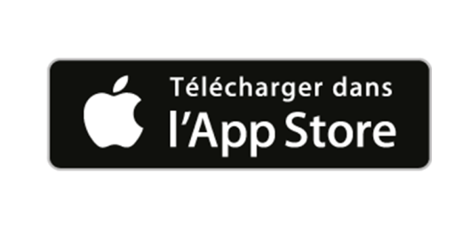 Logo App Store